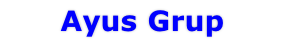 Ayus Grup